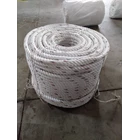 PPD rope 3